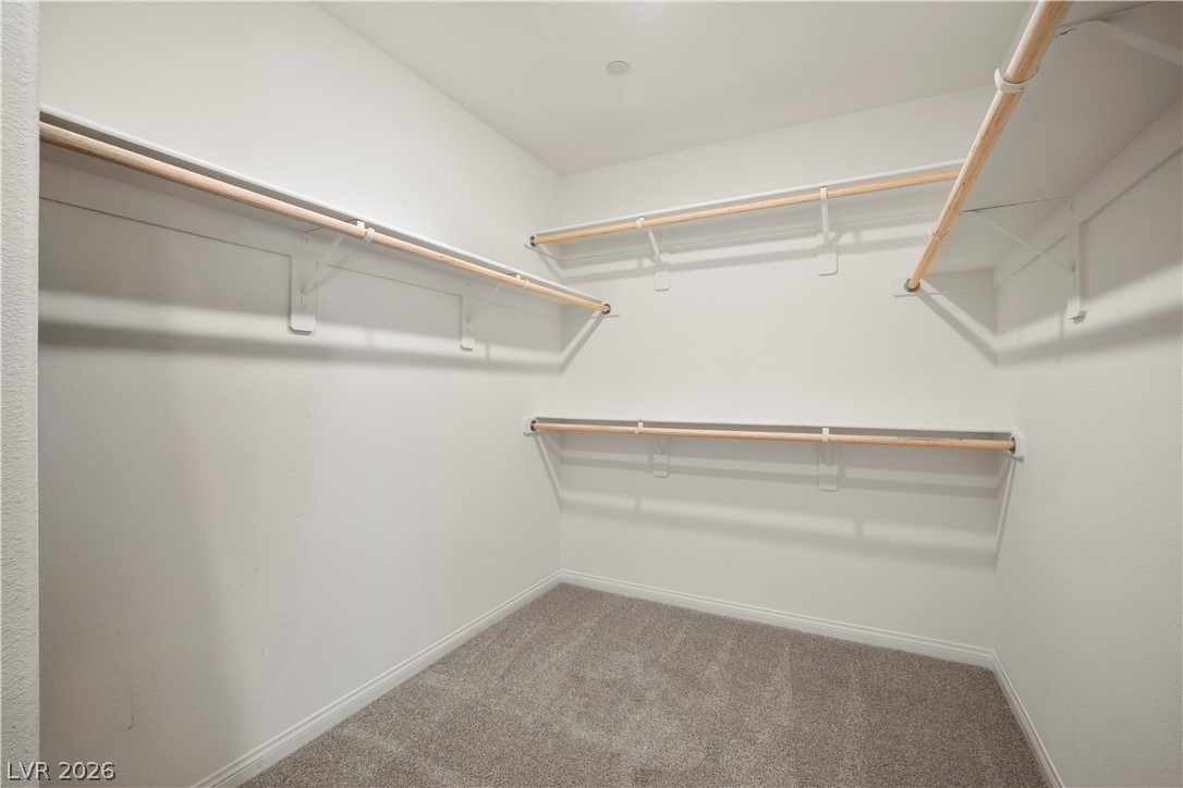 410 Canary Song Drive Property Photo 25