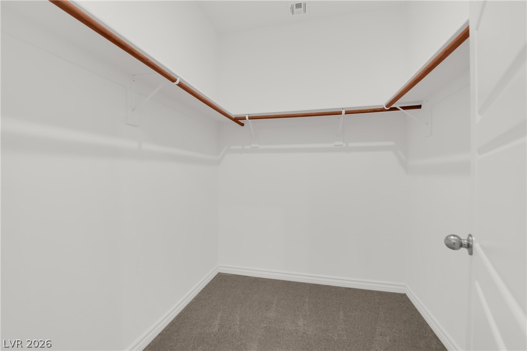 3705 Canis Minor Lane 12102 Property Photo 27
