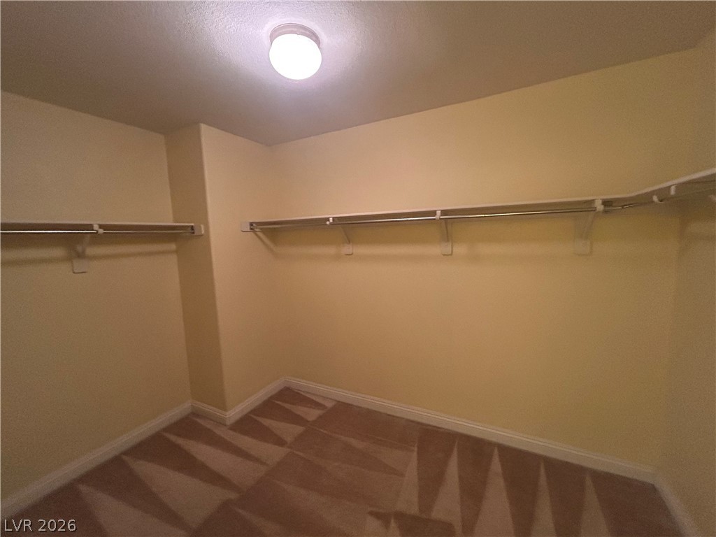 8841 Blue Wolf Street Property Photo 11