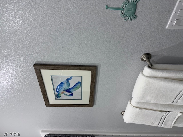 384 Aravalli Crest Street Property Photo 89
