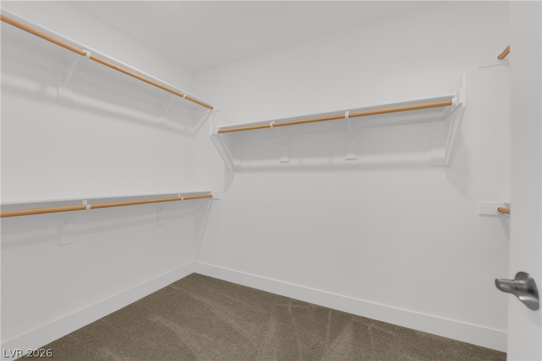 10294 Restless River Street Property Photo 24