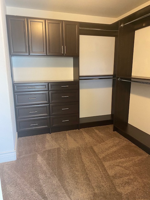 159 Tall Ruff Drive Property Photo 18