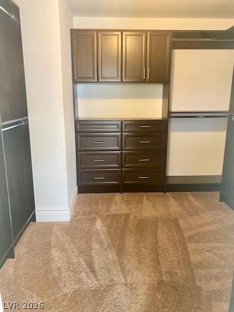 159 Tall Ruff Drive Property Photo 19