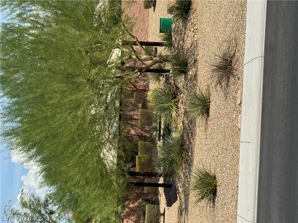 4209 Fairywren Drive Property Photo 43