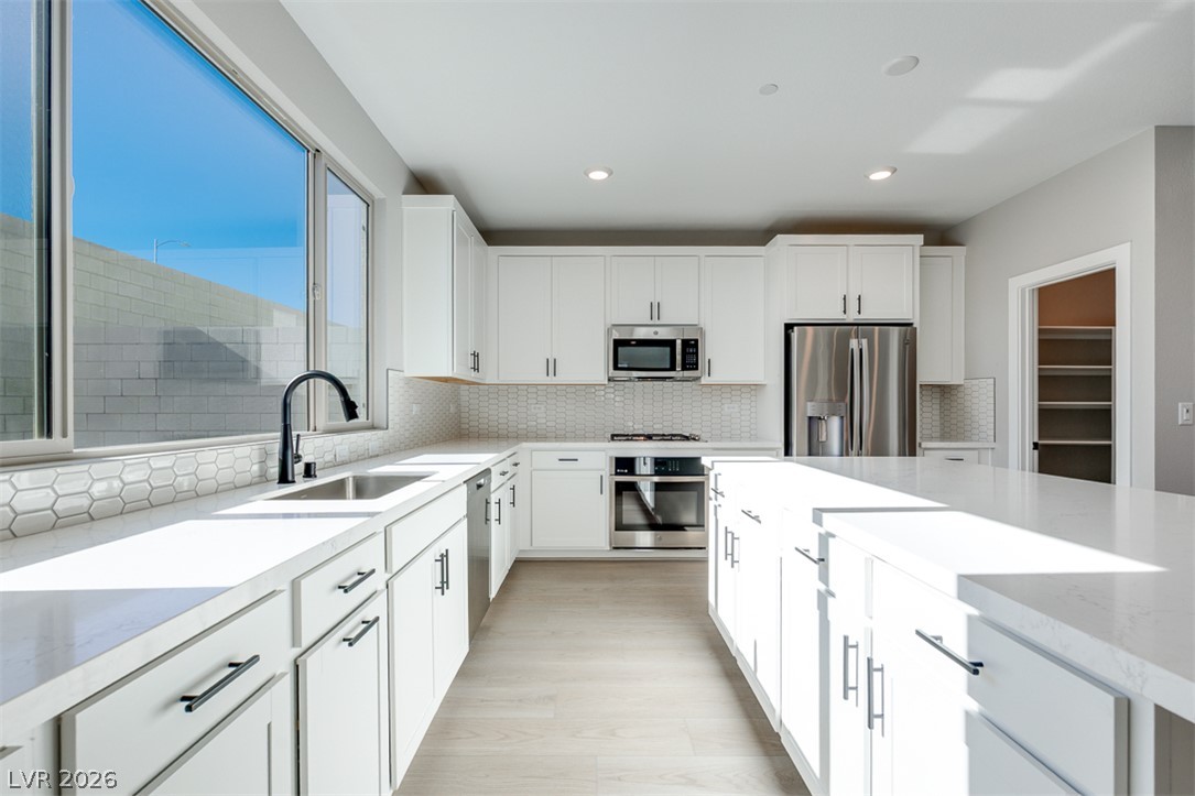 10473 Mountain Aster Avenue Property Photo 12