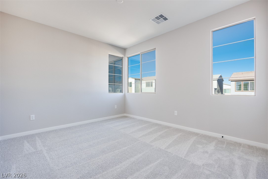 10473 Mountain Aster Avenue Property Photo 17