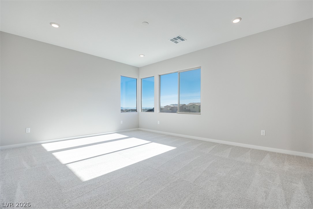 10473 Mountain Aster Avenue Property Photo 21