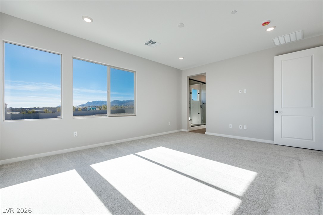 10473 Mountain Aster Avenue Property Photo 22