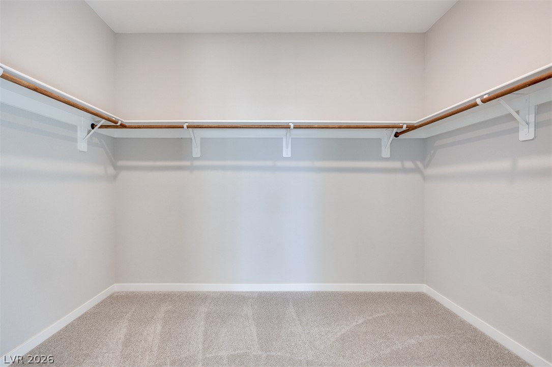 10473 Mountain Aster Avenue Property Photo 26