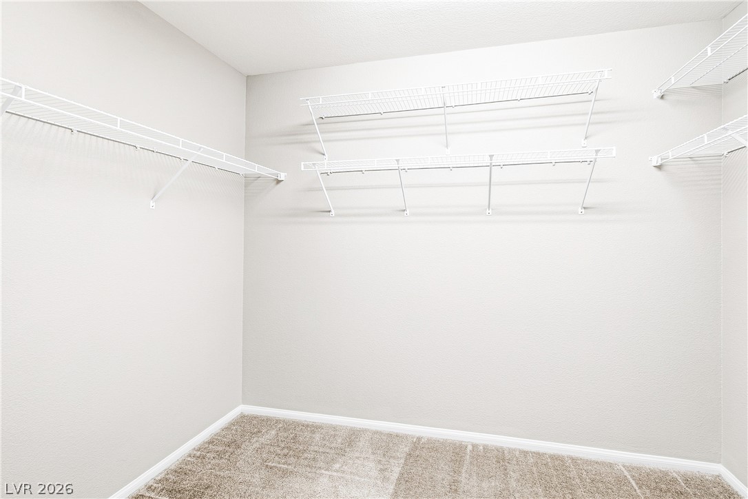 2834 Turnstone Ridge Street Property Photo 15