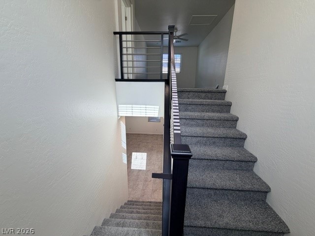 445 Bagatelle Avenue Property Photo 11