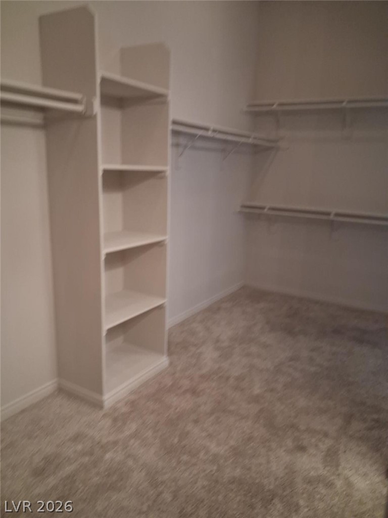 1381 Romanesca Drive Property Photo 15