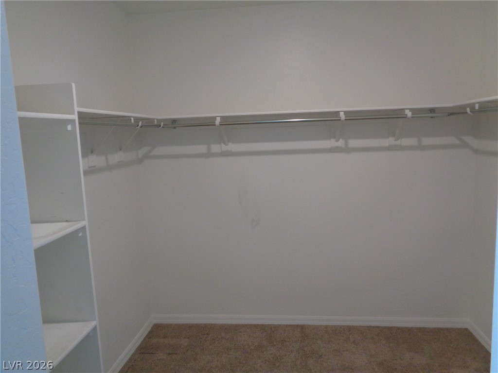 2468 Trumpet Creeper Street Property Photo 8