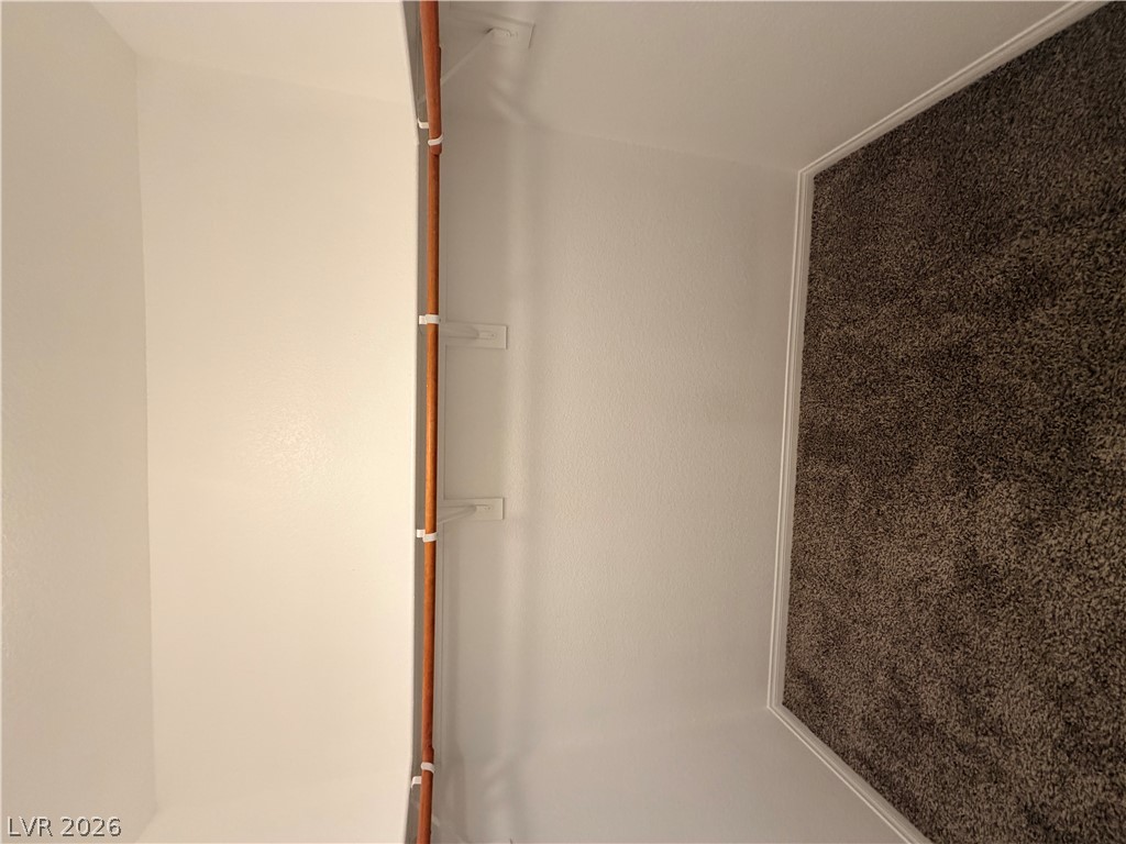 6535 Goldfield Street Property Photo 34