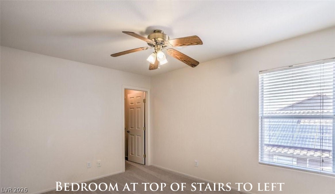 243 Palmarosa Street Property Photo 52