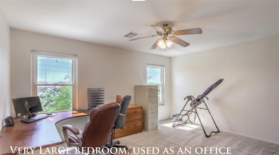 243 Palmarosa Street Property Photo 55