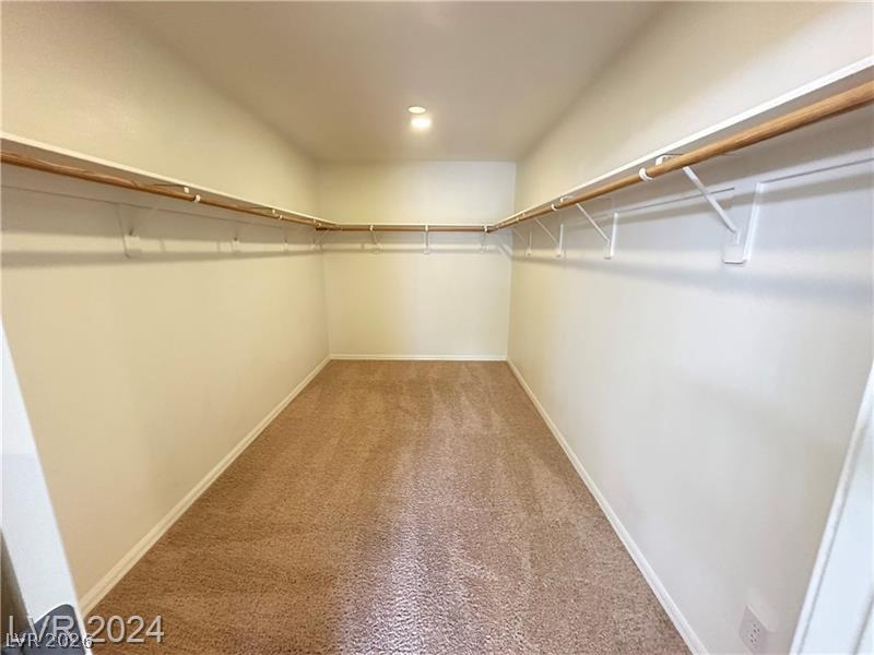 545 Newberry Springs Drive Property Photo 23