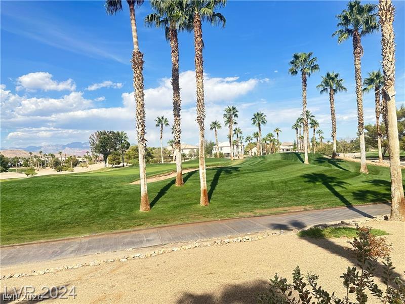 545 Newberry Springs Drive Property Photo 38