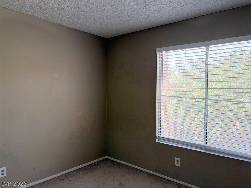 2713 Brienza Way Property Photo 36