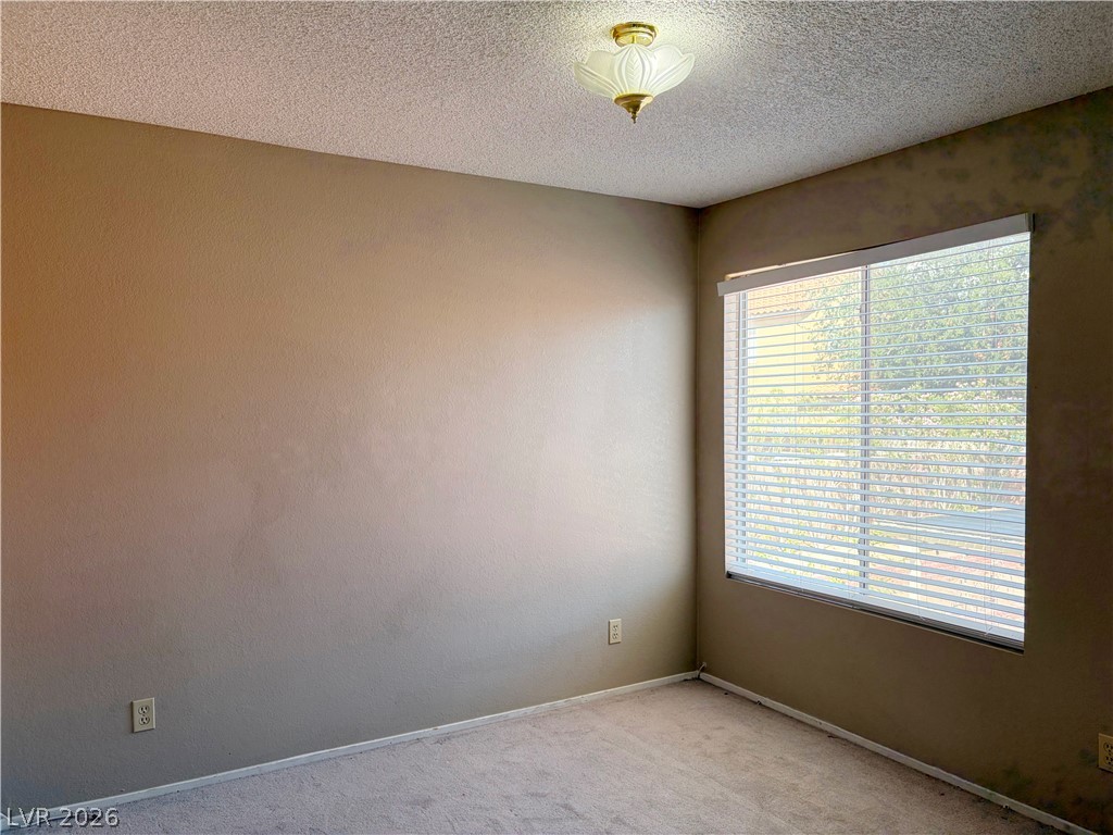 2713 Brienza Way Property Photo 37