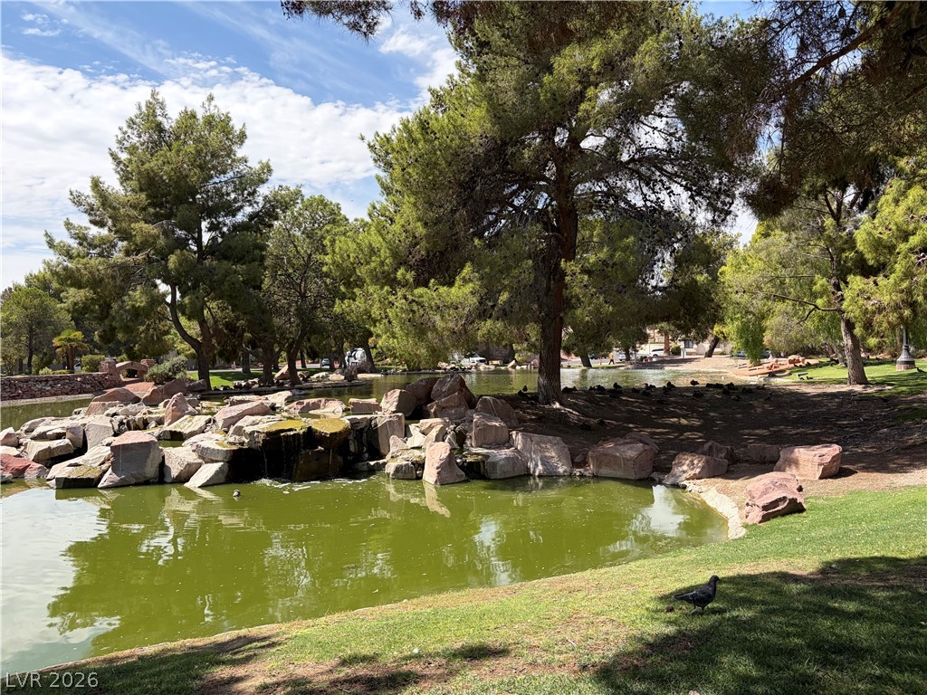 2713 Brienza Way Property Photo 51