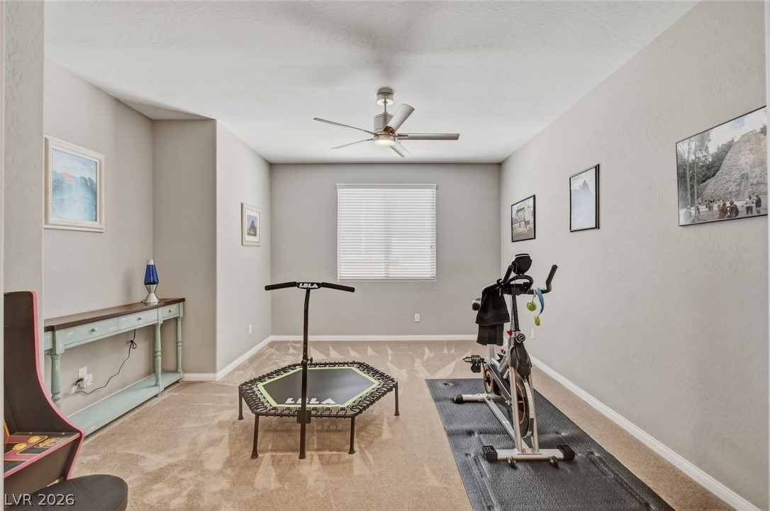 9675 Bruschi Ridge Court Property Photo 22