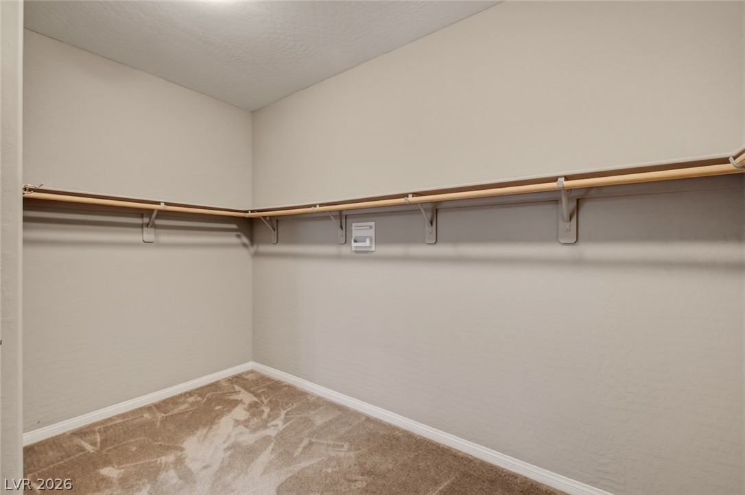 9675 Bruschi Ridge Court Property Photo 43