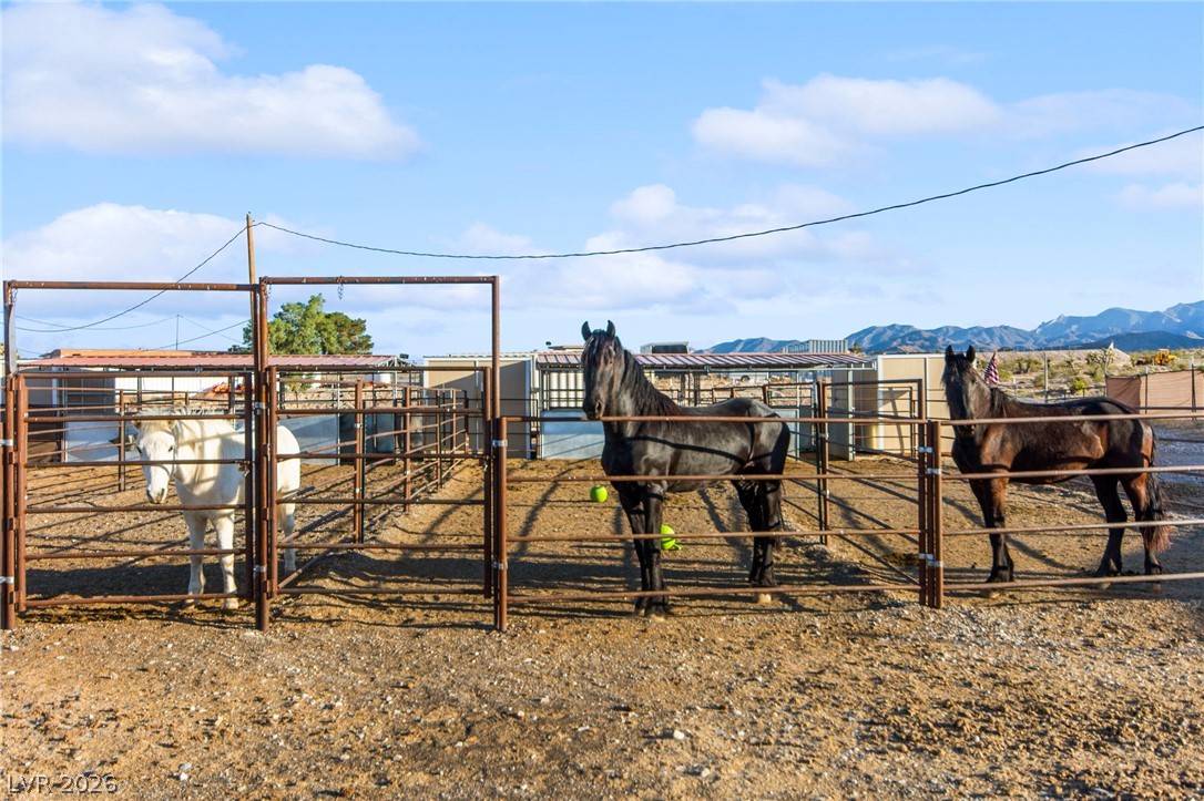 10895 Kyle Canyon Road Property Photo 7