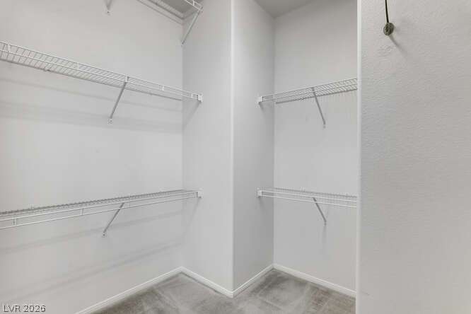 11194 Corsica Mist Avenue Property Photo 20