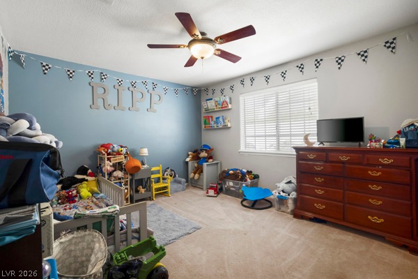 5240 Mustang Street Property Photo 29