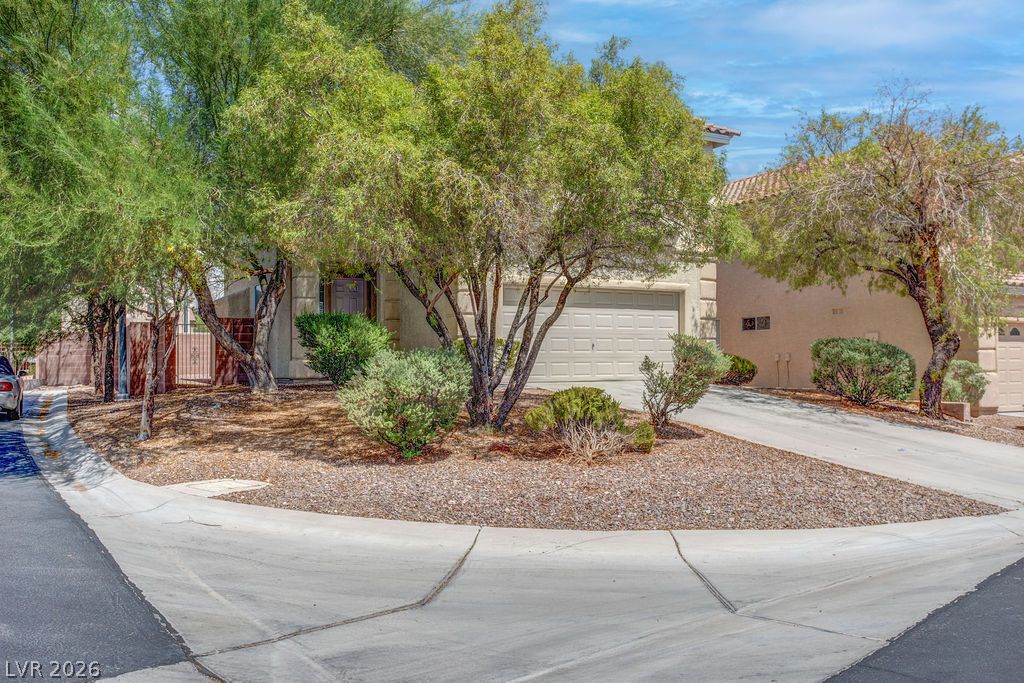 9548 Spring Blush Avenue Property Photo 2