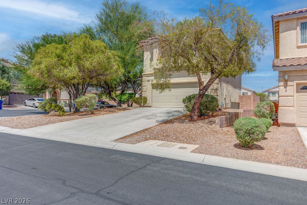 9548 Spring Blush Avenue Property Photo 3