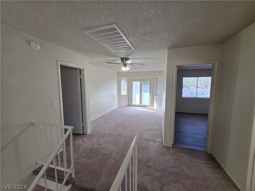 2813 Cacto Court Property Photo 13