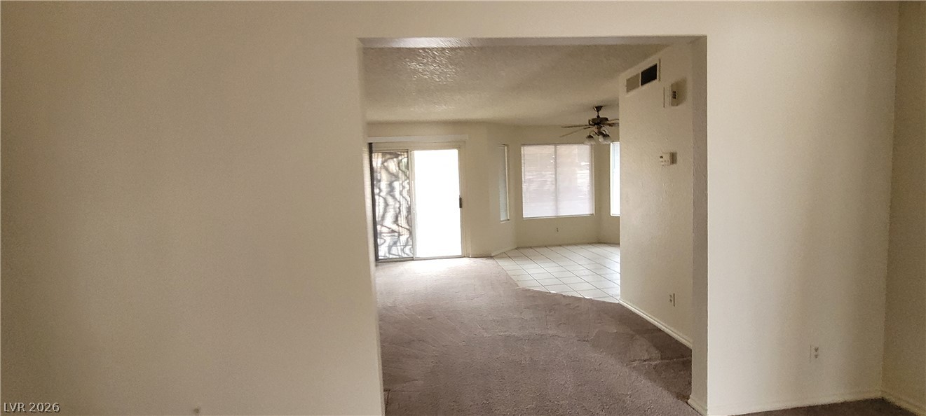 2813 Cacto Court Property Photo 19