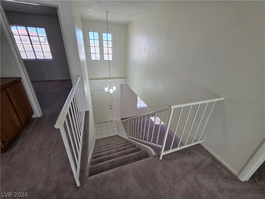 2813 Cacto Court Property Photo 31