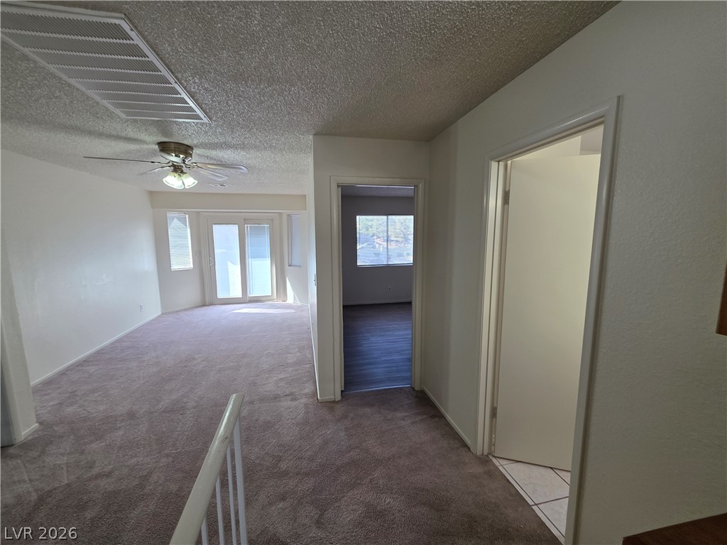 2813 Cacto Court Property Photo 32