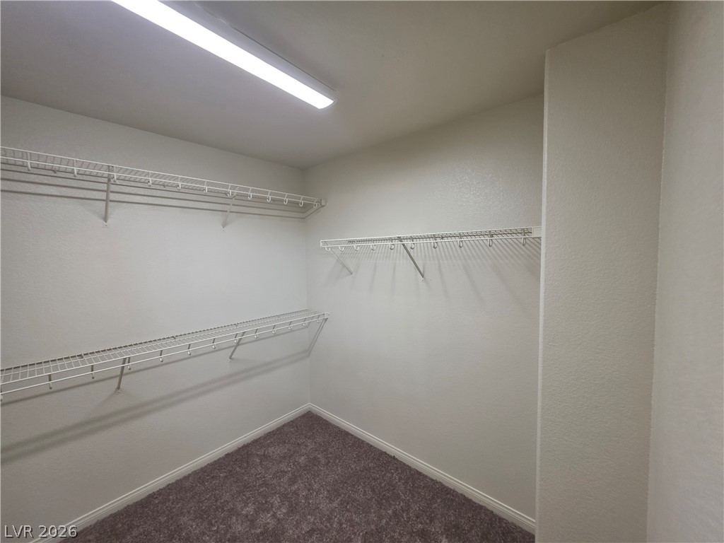 7349 Dolphine Crest Avenue Property Photo 27