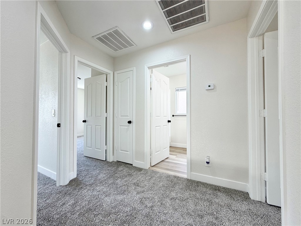 8995 Lillyhammer Court Property Photo 19