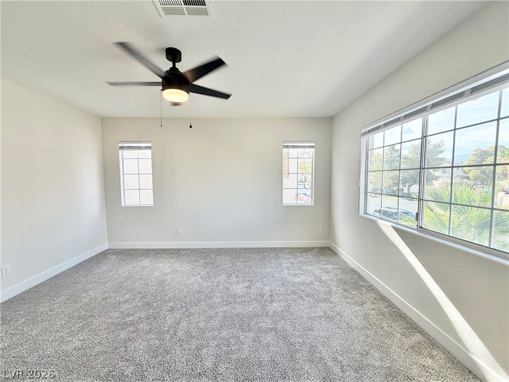 8995 Lillyhammer Court Property Photo 28