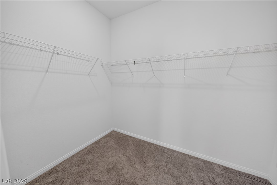10194 Blue Cereus Street Property Photo 24
