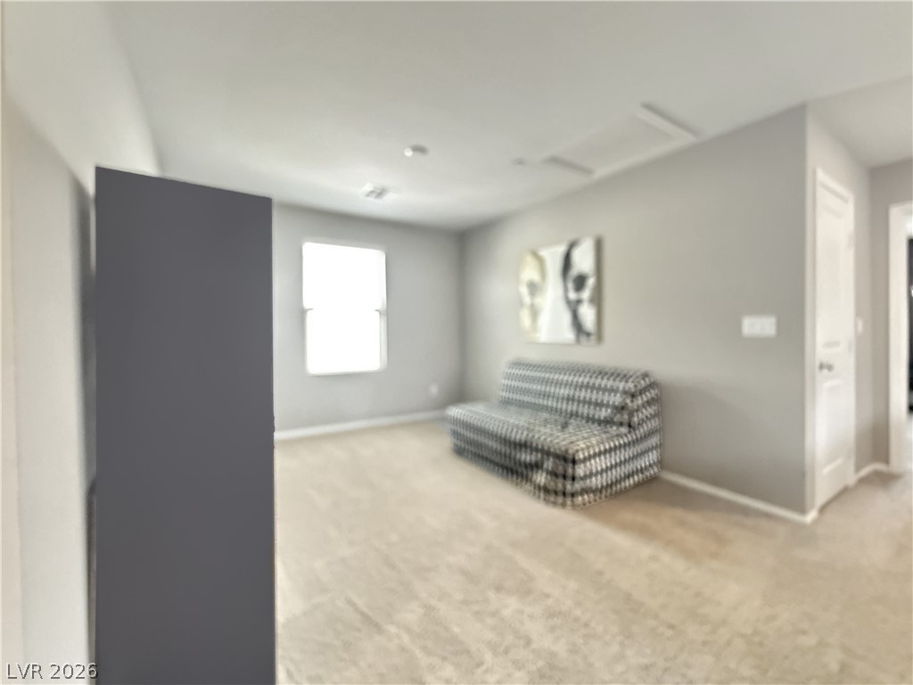 2931 Tranquil Brook Avenue Property Photo 21