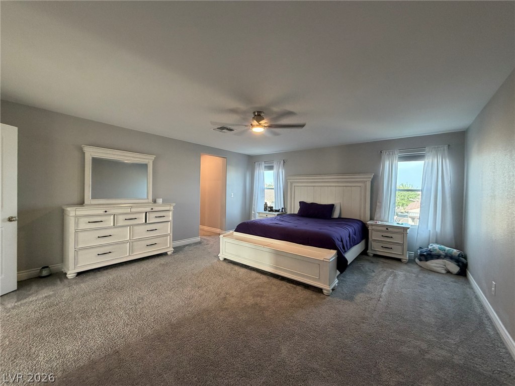 6920 Baylor Creek Street Property Photo 19