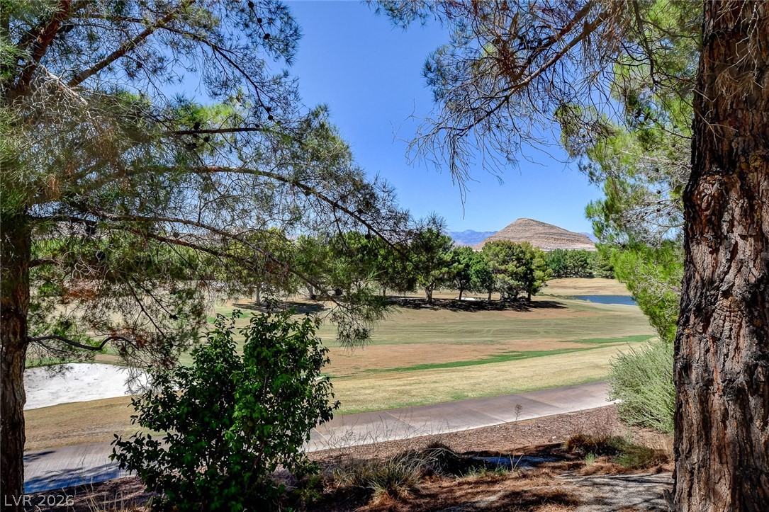 11827 Oakland Hills Drive Property Photo 85
