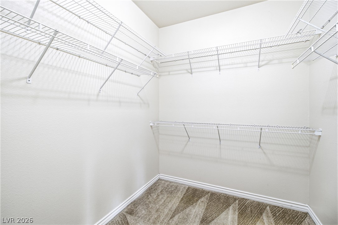 250 Cleargirl Court Property Photo 11