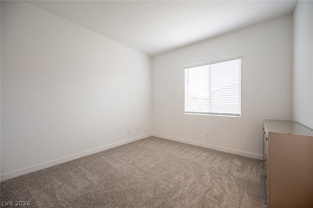 3904 Aiden Creek Avenue Property Photo 33