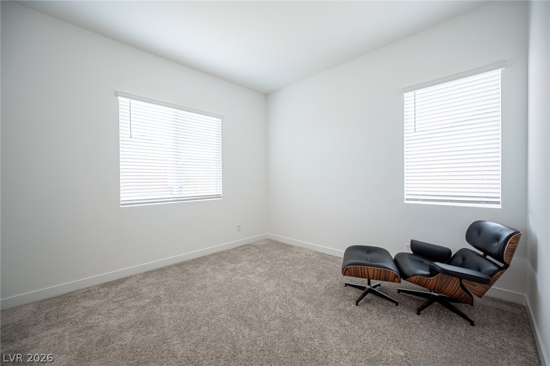 3904 Aiden Creek Avenue Property Photo 40