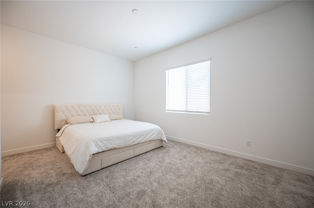 3904 Aiden Creek Avenue Property Photo 48