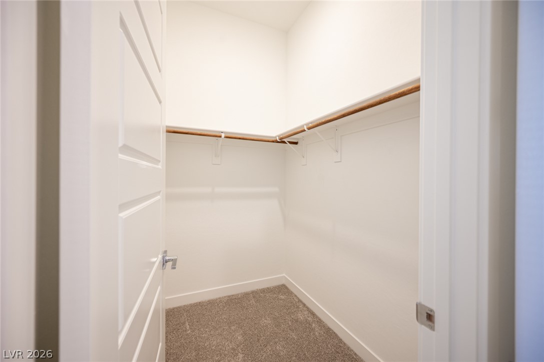 3904 Aiden Creek Avenue Property Photo 51