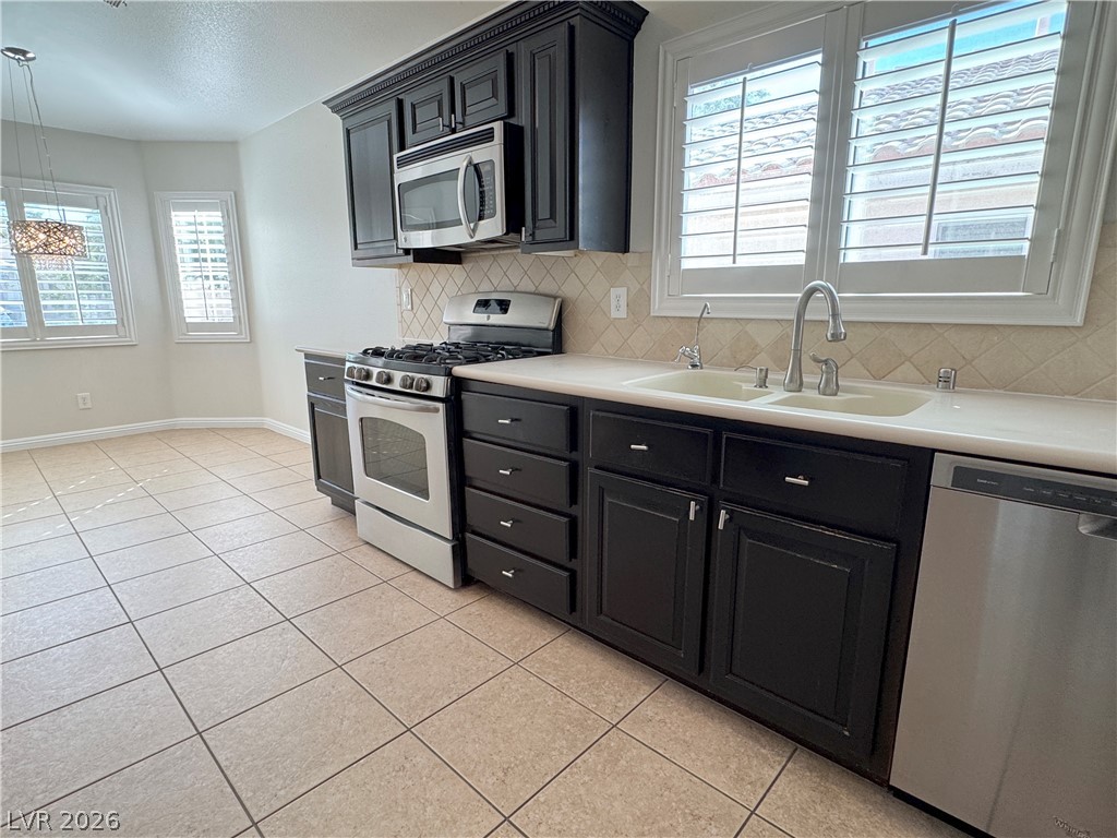 2266 Dakota Sky Court Property Photo 9