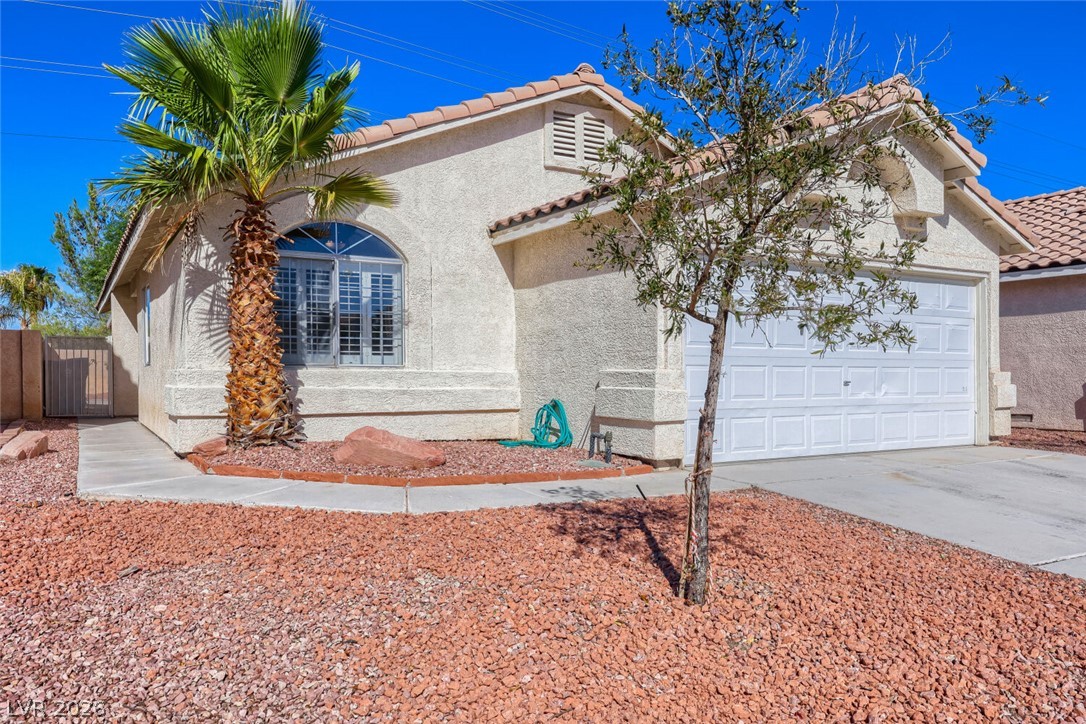 3692 Copper Cactus Drive Property Photo 5